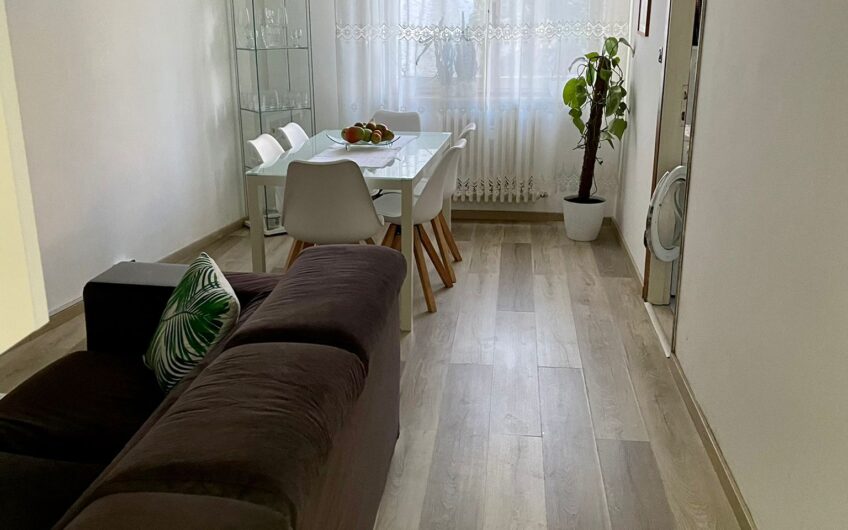 PAVIA VIA ROBOLINI AMPIO BILOCALE RISTRUTTURATO E ARREDATO