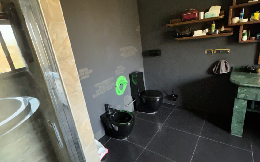 PAVIA VIALE CAMPARI APPARTAMENTO RISTRUTTURATO DI 130 MQ DI 3 LOCALI + 2 SERVIZI, CANTINA E BOX EURO 230.000