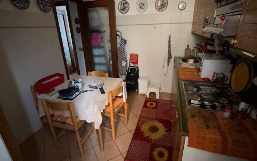 PAVIA VIA FERRINI CASA SEMINDIPENDENTE CON NEGOZIO 100 MQ PIANO TERRA , CANTINA 50 MQ E APPARTAMENTO 100 MQ PIANO 1° – EURO 230.000