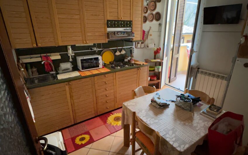 PAVIA VIA FERRINI CASA SEMINDIPENDENTE CON NEGOZIO 100 MQ PIANO TERRA , CANTINA 50 MQ E APPARTAMENTO 100 MQ PIANO 1° – EURO 230.000