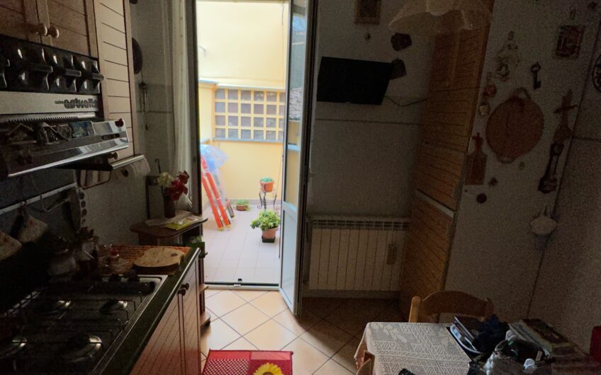 PAVIA VIA FERRINI CASA SEMINDIPENDENTE CON NEGOZIO 100 MQ PIANO TERRA , CANTINA 50 MQ E APPARTAMENTO 100 MQ PIANO 1° – EURO 230.000