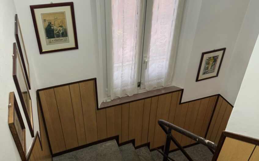 PAVIA VIA FERRINI CASA SEMINDIPENDENTE CON NEGOZIO 100 MQ PIANO TERRA , CANTINA 50 MQ E APPARTAMENTO 100 MQ PIANO 1° – EURO 230.000