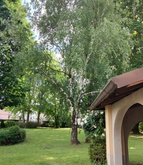 ALBUZZANO VIA PERTINI CASA SEMINDIPENDENTE DI 180 MQ CON PARCO DI MQ 1.600 . EURO 320.000