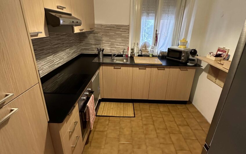 PAVIA VIALE LUDOVICO IL MORO AFFITTASI SIGNORILE 4 LOCALI + SERVIZI RISTRUTTURATO E ARREDATO EURO 950 MESE