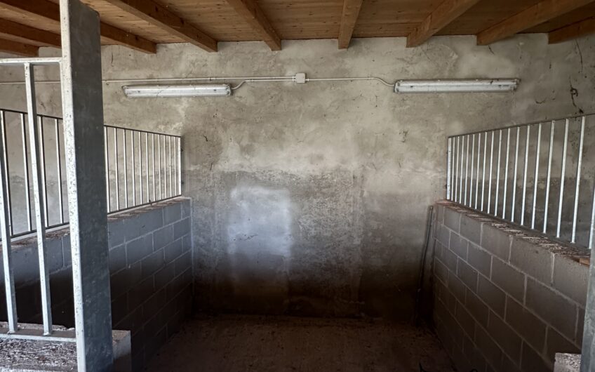 CURA CARPIGNANO CASCINA PESCARONINO CASALE DI AMPIA METRATURA CON SCUDERIA PER CAVALLI,MQ 314   AMPIO TERRENO ANNESSO E AMPIA AIA CENTRALE ADATTA PER MANEGGIO CAVALLI. EURO 395.000