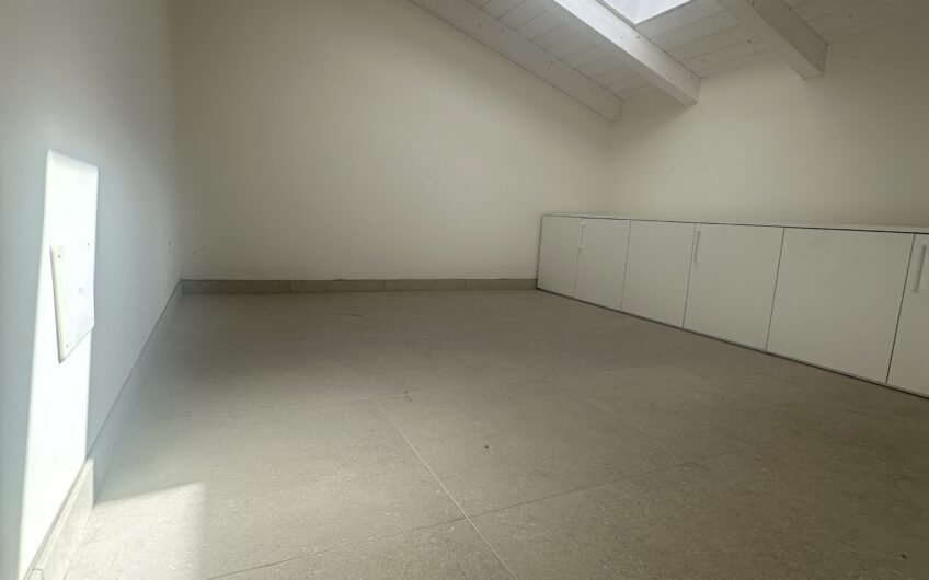 PAVIA VIA OLEVANO AFFITTASI VILLA DI 2 LOCALI + SERVIZI, SOPPALCO, GIARDINO E POSTO AUTO EURO 1.000 MESE