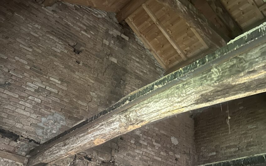 PAVIA VIA FRANCANA CASA SEMINDIPENDENTE DI 300 MQ DA RISTRUTTURARE IN EDIFICIO STORICO, AMPIO BOX, EURO 300.000