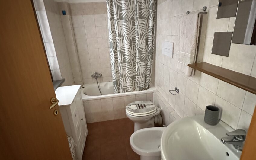 PAVIA CORSO CAVOUR AD. AFFITTASI AMPIO BILOCALE CON CUCINA ABITABILE EURO 800 MESE + 50 SPESE PER STUDENTI