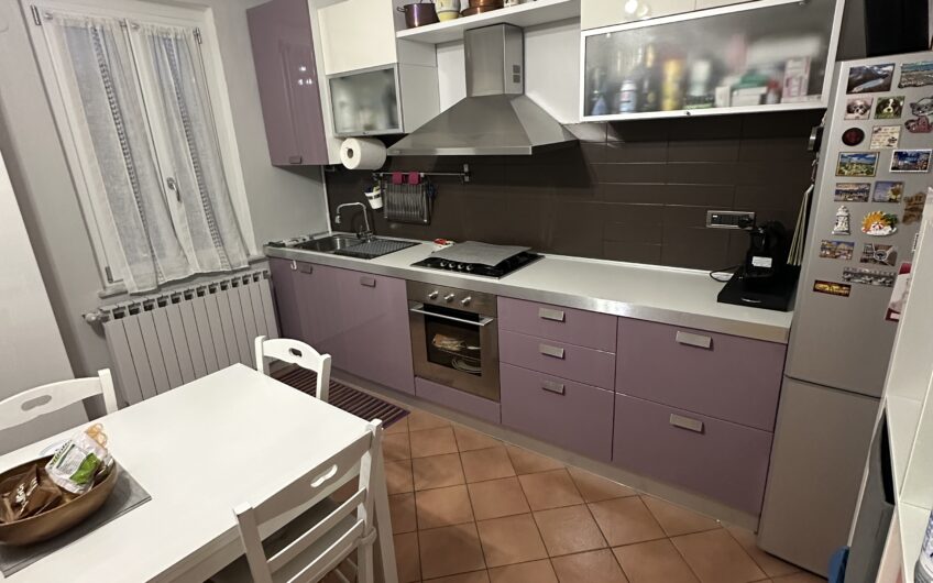 pavia via Mirabello ampio Bilocale RISTRUTTURATO con box e giardino EURO 140.000