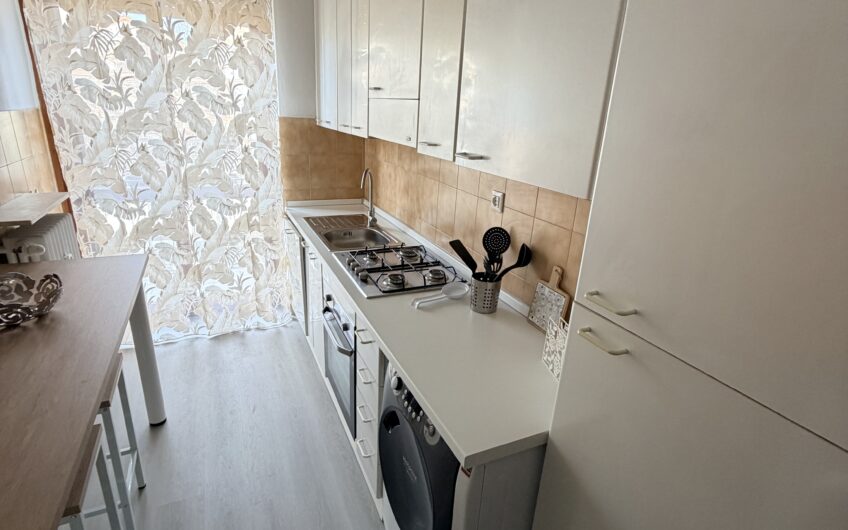 PAVIA VIA CORRIDONI  AFFITTASI APPARTAMENTO IN OTTIMO STATO, ARREDATO CON CURA, SOGGIORNO, CUCINA ABITABILE, 2 CAMERE, RIPOSTIGLIO, SERVIZIO, BALCONE, CANTINA . SOLO A REFERENZIATI EURO 900 MESE + 200 SPESE.