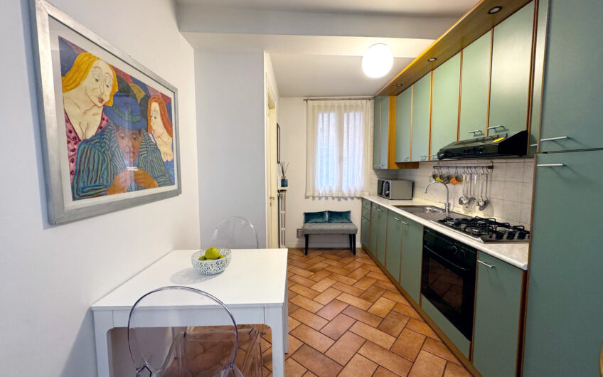 PAVIA VIA BECCARIA APPARTAMENTO MANSARDATO, RISTRUTTURATO,  DI 2 LOCALI + SERVIZI E ANGOLO COTTURA  CON SPLENDIDO TERRAZZO DI 20 CON VISTA SULLA CUPOLA DEL DUOMO OTTIMO PER  INVESTIMENTO AD ALTA REDDITIVITA’  . EURO 195.000