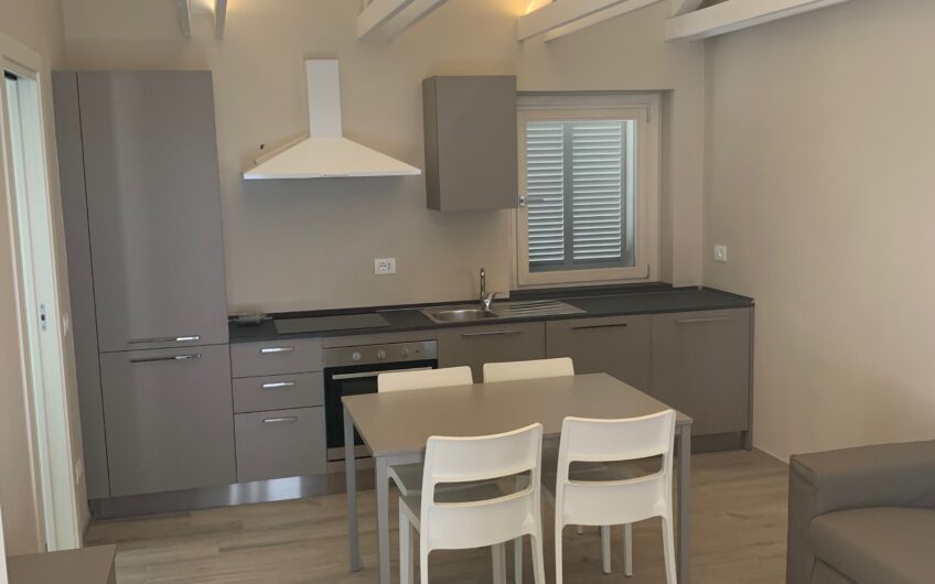 PAVIA STAZIONE VIALE VITTORIO EMANUELE II SIGNORILE BILOCALE IN VILLA RISTRUTTURATO E ARREDATO, RISC. A PAVIMENTO ARIA COND. POSTO AUTO EURO 900 MESE + 100 SPESE