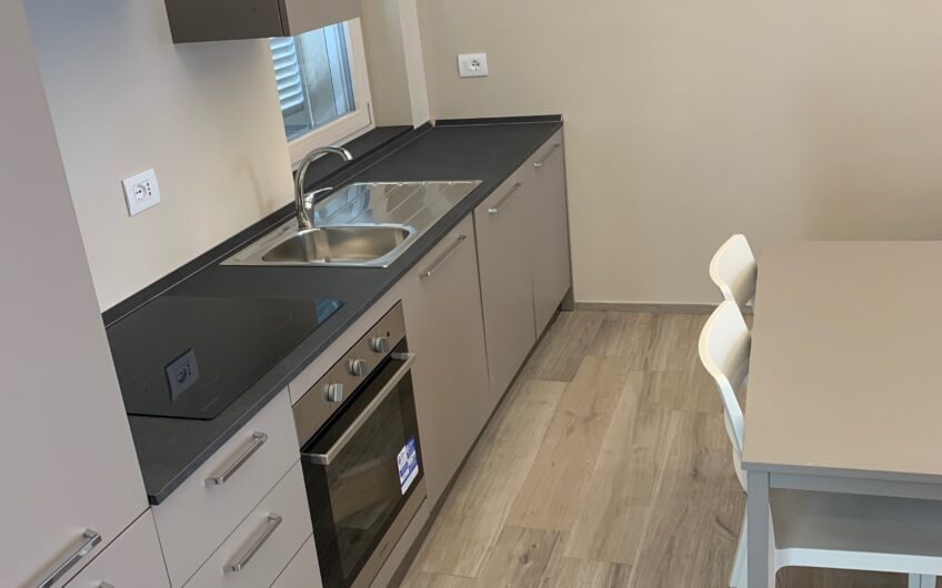 PAVIA STAZIONE VIALE VITTORIO EMANUELE II SIGNORILE BILOCALE IN VILLA RISTRUTTURATO E ARREDATO, RISC. A PAVIMENTO ARIA COND. POSTO AUTO EURO 900 MESE + 100 SPESE