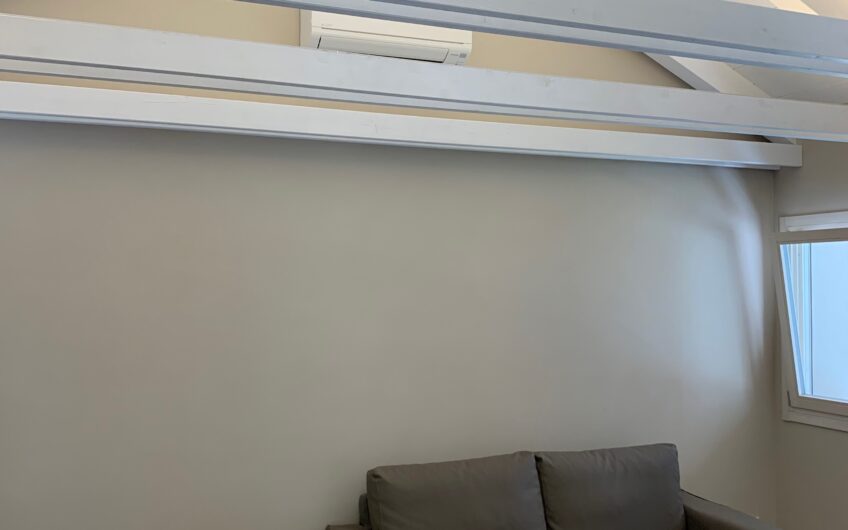 PAVIA STAZIONE VIALE VITTORIO EMANUELE II SIGNORILE BILOCALE IN VILLA RISTRUTTURATO E ARREDATO, RISC. A PAVIMENTO ARIA COND. POSTO AUTO EURO 900 MESE + 100 SPESE