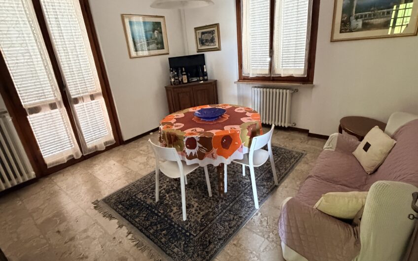 PAVIA VIA TORINO SIGNORILE VILLA INDIPENDENTE UN TRILOCALE CON DOPPI SERVIZI, STUDIO E LAVANDERIA , TERRAZZO AL PIANO RIALZATO E UN BILOCALE + SERVIZI  AL P. TERRA, AMPIO BOX DOPPIO E GIARDINO OTTIMAMENTE PIANTUMATO, EURO 390.000 OCCASIONE RARISSIMA DEL MERCATO