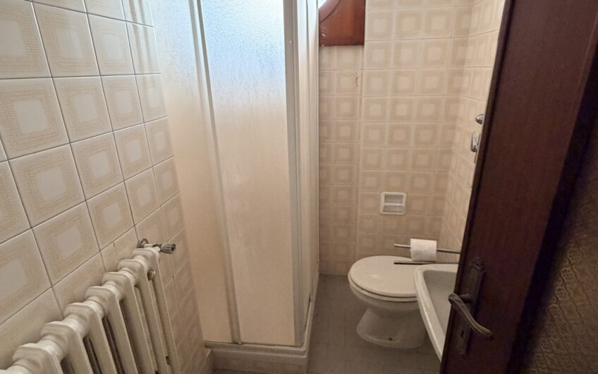 PAVIA VIA TORINO SIGNORILE VILLA INDIPENDENTE UN TRILOCALE CON DOPPI SERVIZI, STUDIO E LAVANDERIA , TERRAZZO AL PIANO RIALZATO E UN BILOCALE + SERVIZI  AL P. TERRA, AMPIO BOX DOPPIO E GIARDINO OTTIMAMENTE PIANTUMATO, EURO 390.000 OCCASIONE RARISSIMA DEL MERCATO