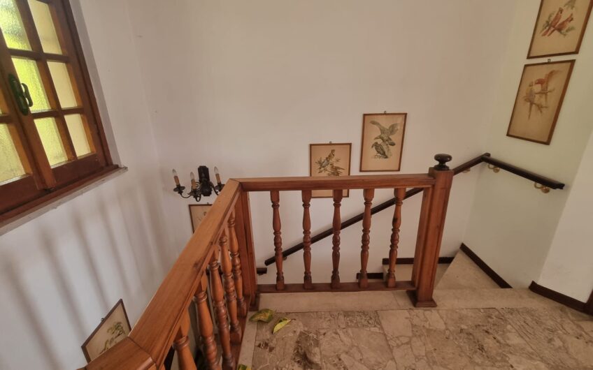 PAVIA VIA TORINO SIGNORILE VILLA INDIPENDENTE UN TRILOCALE CON DOPPI SERVIZI, STUDIO E LAVANDERIA , TERRAZZO AL PIANO RIALZATO E UN BILOCALE + SERVIZI  AL P. TERRA, AMPIO BOX DOPPIO E GIARDINO OTTIMAMENTE PIANTUMATO, EURO 390.000 OCCASIONE RARISSIMA DEL MERCATO