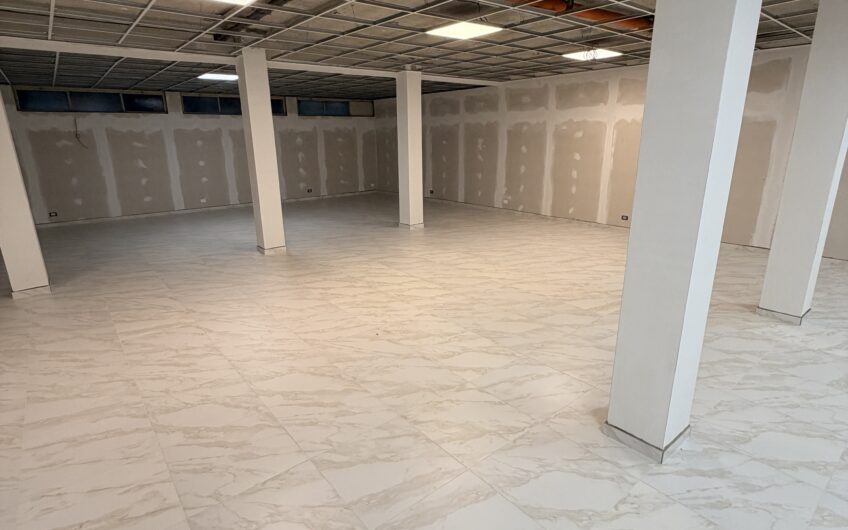 PAVIA VIA INGRAO-VIA SAN GIOVANNINO VENDESI AMPIO MAGAZZINO CON LOCALI ESPOSIZIONE AL P. TERRA E AMPIO MAGAZZINO AL SEMINTERRATO CON PASSO CARRABILE PER  INGRESSO CON FURGONE, IN OTTIME CONDIZIONI, GIARDINO IN USO ESCLUSIVO, MQ 470. EURO 220.000 OTTIMA OCCASIONE