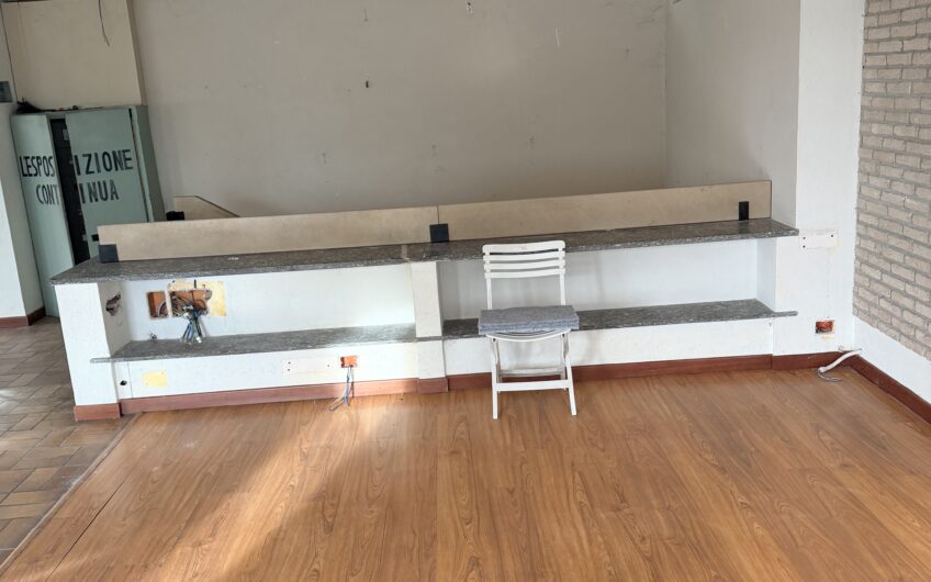 PAVIA VIA INGRAO-VIA SAN GIOVANNINO VENDESI AMPIO MAGAZZINO CON LOCALI ESPOSIZIONE AL P. TERRA E AMPIO MAGAZZINO AL SEMINTERRATO CON PASSO CARRABILE PER  INGRESSO CON FURGONE, IN OTTIME CONDIZIONI, GIARDINO IN USO ESCLUSIVO, MQ 470. EURO 220.000 OTTIMA OCCASIONE