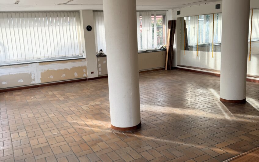 PAVIA VIA INGRAO-VIA SAN GIOVANNINO VENDESI AMPIO MAGAZZINO CON LOCALI ESPOSIZIONE AL P. TERRA E AMPIO MAGAZZINO AL SEMINTERRATO CON PASSO CARRABILE PER  INGRESSO CON FURGONE, IN OTTIME CONDIZIONI, GIARDINO IN USO ESCLUSIVO, MQ 470. EURO 220.000 OTTIMA OCCASIONE
