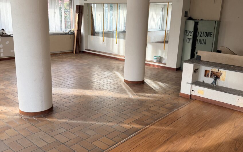 PAVIA VIA INGRAO-VIA SAN GIOVANNINO VENDESI AMPIO MAGAZZINO CON LOCALI ESPOSIZIONE AL P. TERRA E AMPIO MAGAZZINO AL SEMINTERRATO CON PASSO CARRABILE PER  INGRESSO CON FURGONE, IN OTTIME CONDIZIONI, GIARDINO IN USO ESCLUSIVO, MQ 470. EURO 220.000 OTTIMA OCCASIONE