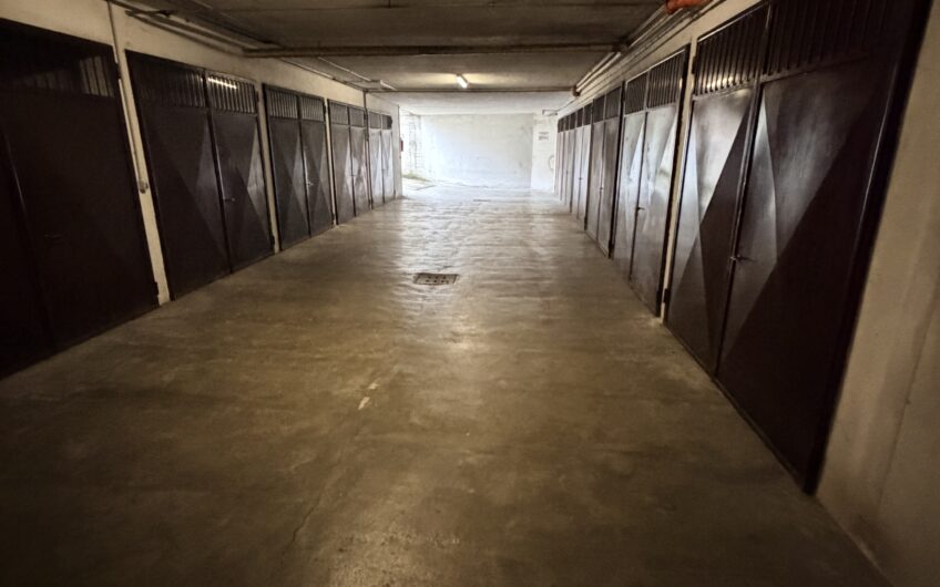 PAVIA VIA INGRAO-VIA SAN GIOVANNINO VENDESI AMPIO MAGAZZINO CON LOCALI ESPOSIZIONE AL P. TERRA E AMPIO MAGAZZINO AL SEMINTERRATO CON PASSO CARRABILE PER  INGRESSO CON FURGONE, IN OTTIME CONDIZIONI, GIARDINO IN USO ESCLUSIVO, MQ 470. EURO 220.000 OTTIMA OCCASIONE