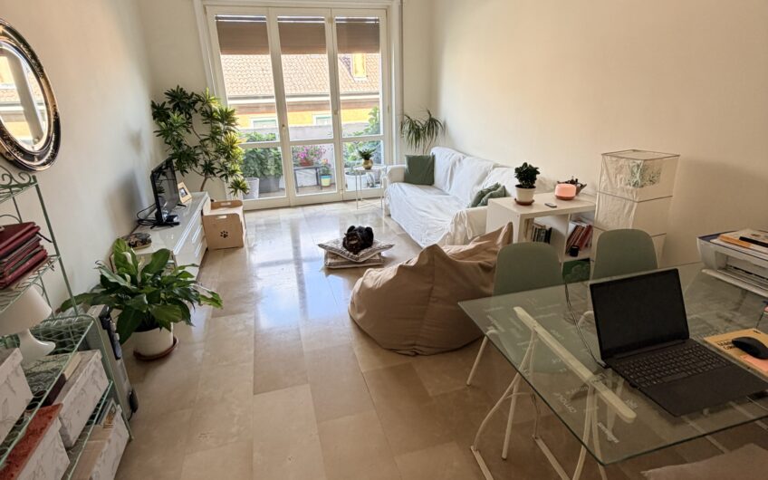 PAVIA VIALE GORIZIA SIGNORILE APPARTAMENTO CON SPLENDIDA VISTA DI 3 LOCALI + SERVIZI OCCUPATO, EURO 250.000 TRATTABILI