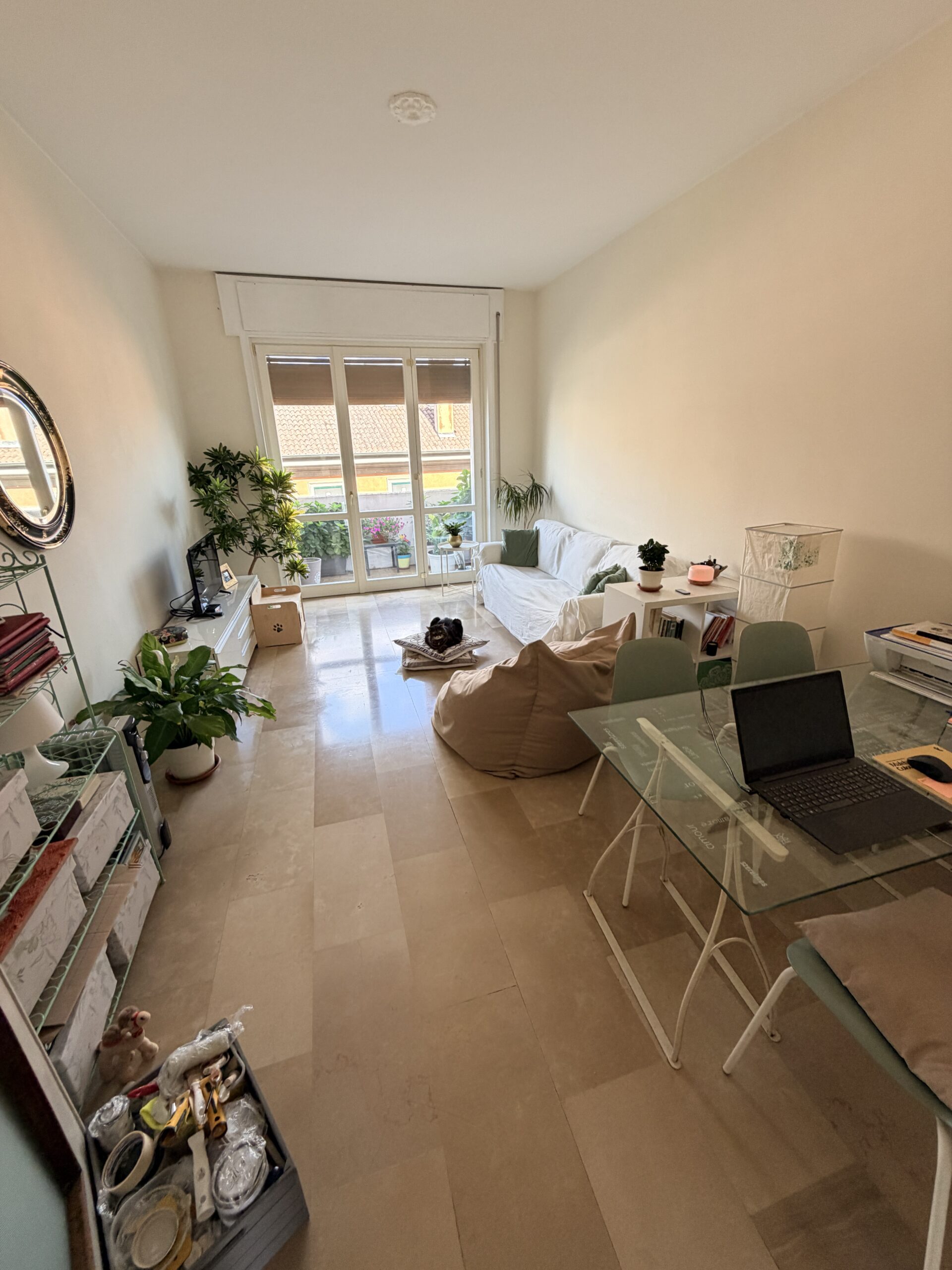 PAVIA VIALE GORIZIA SIGNORILE APPARTAMENTO CON SPLENDIDA VISTA DI 3 LOCALI + SERVIZI OCCUPATO, EURO 250.000 TRATTABILI