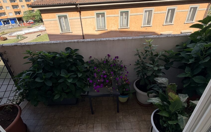 PAVIA VIALE GORIZIA SIGNORILE APPARTAMENTO CON SPLENDIDA VISTA DI 3 LOCALI + SERVIZI OCCUPATO, EURO 250.000 TRATTABILI