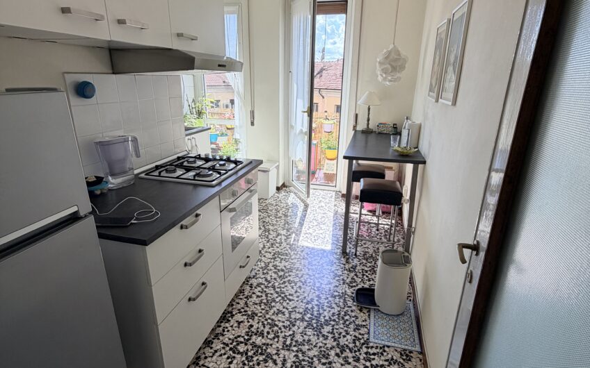 PAVIA VIALE GORIZIA SIGNORILE APPARTAMENTO CON SPLENDIDA VISTA DI 3 LOCALI + SERVIZI OCCUPATO, EURO 250.000 TRATTABILI