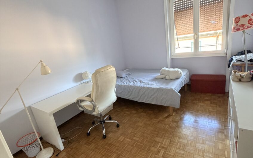 PAVIA VIALE GORIZIA SIGNORILE APPARTAMENTO CON SPLENDIDA VISTA DI 3 LOCALI + SERVIZI OCCUPATO, EURO 250.000 TRATTABILI