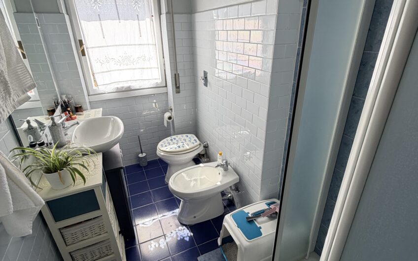PAVIA VIALE GORIZIA SIGNORILE APPARTAMENTO CON SPLENDIDA VISTA DI 3 LOCALI + SERVIZI OCCUPATO, EURO 250.000 TRATTABILI
