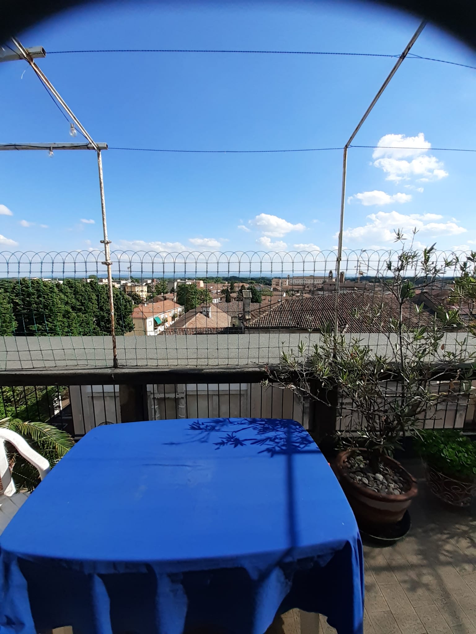 PAVIA VIA SCOPOLI AMPIO APPARTAMENTO DI 161 MQ CON TERRAZZO DI 40 MQ INTROVABILE, EURO 395.000