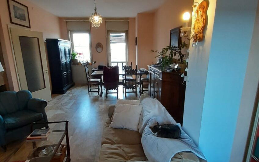 PAVIA VIA SCOPOLI AMPIO APPARTAMENTO DI 161 MQ CON TERRAZZO DI 40 MQ INTROVABILE, EURO 395.000